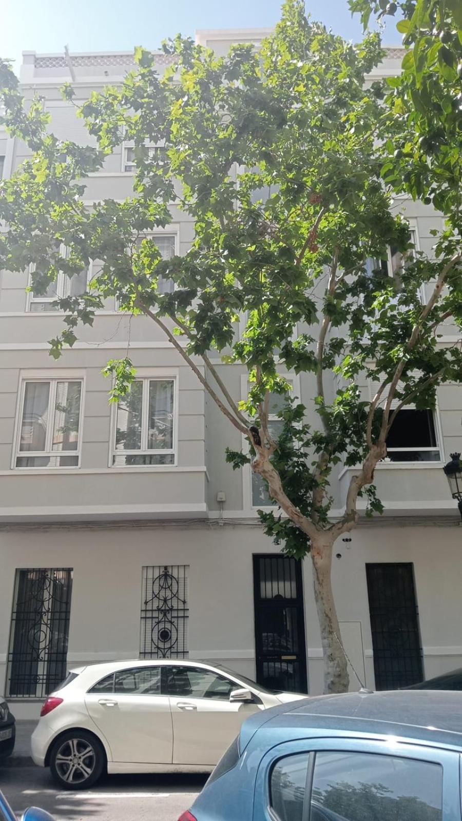 Florit Flats - The Patraix Apartments Βαλένθια Εξωτερικό φωτογραφία